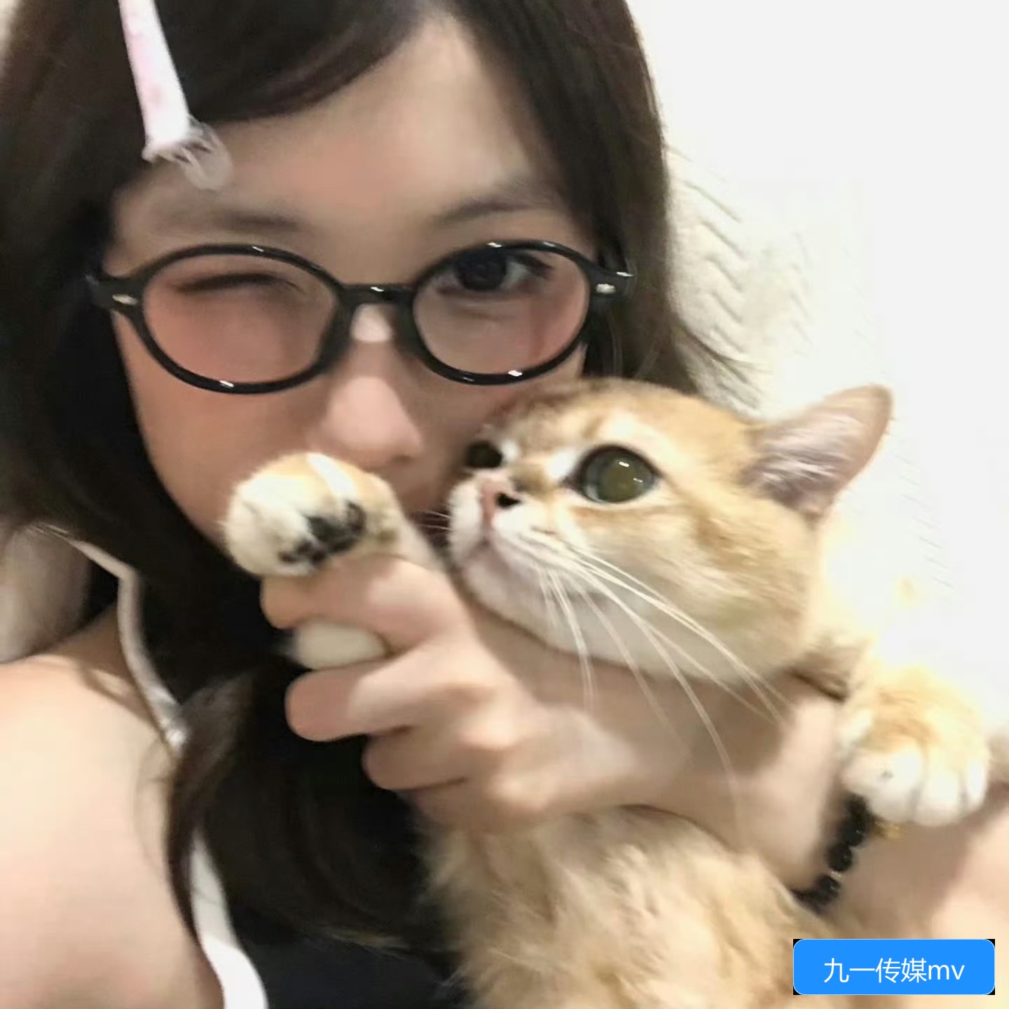 九一传媒公司网站入口有哪些使用方法和注意事项